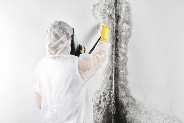 Water damage restoration experts in Hector, MN